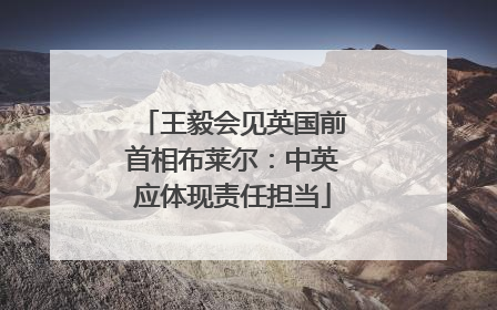 王毅会见英国前首相布莱尔：中英应体现责任担当